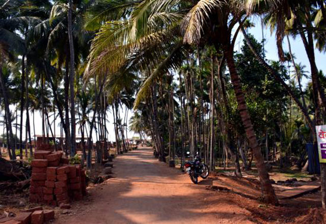 Way to Velneshwar Beach